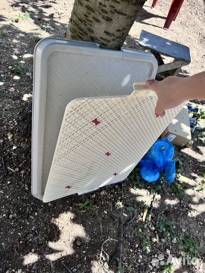 Лоток для собак
