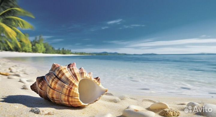 Море из Ижевска