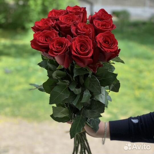 Букет из 11 красных роз 60 см