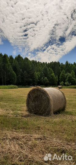 Сено в рулонах 2023
