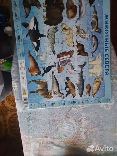 Пазлы новые