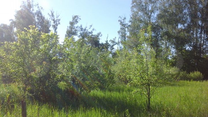 Дача 10 м² на участке 6,1 сот.