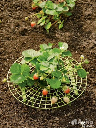 Держатели клубники. Опора для клубники. Подставка