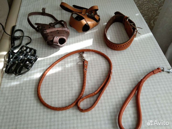 Ошейники и намордники