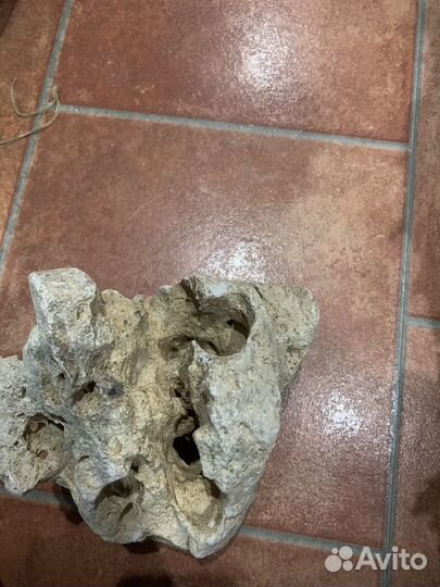 Меотис. Камень песчаник