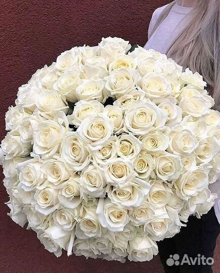 Высокие розы Гигантские розы Доставка цветов