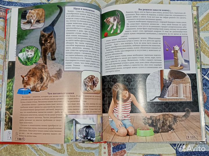 Подарочная книга