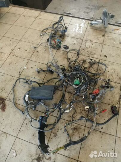 Проводка Ford Focus 2
