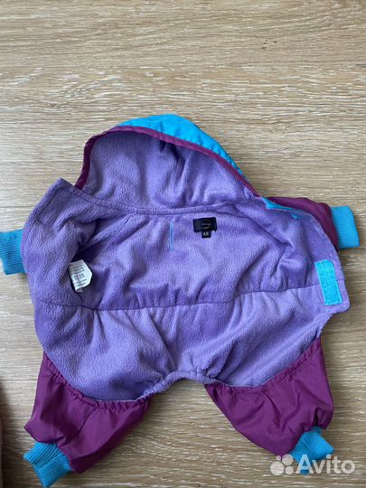 Осенний костюм на щенка