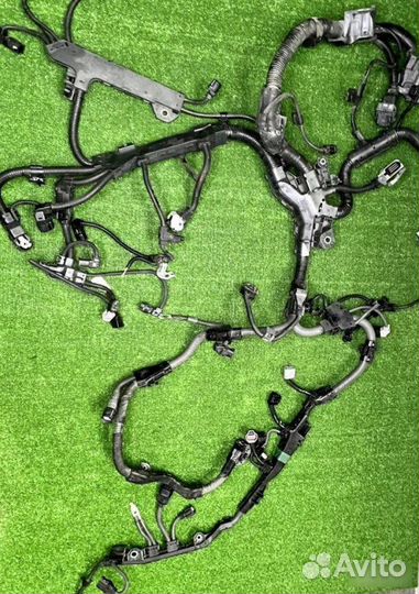 Проводка двигателя Toyota Camry XV70 A25afks 2020