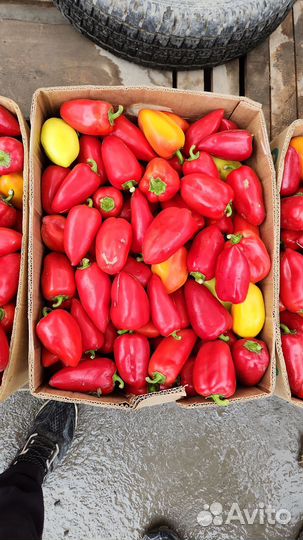 Овощи фрукты свежие Доставка до дома