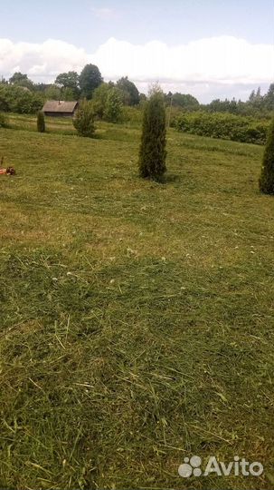Делаю хоз постройки, уход за участками