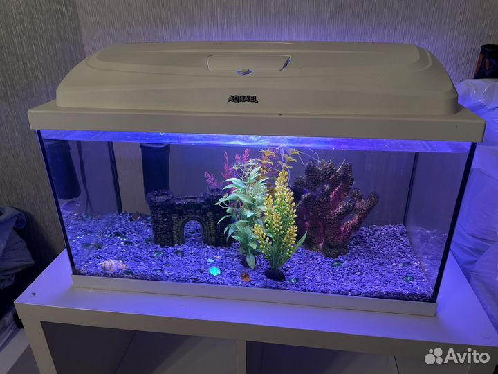 Аквариум с рыбками