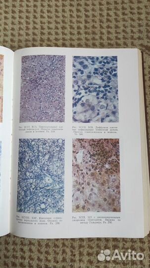 Практическая гепатология - Анатолий Блюгер