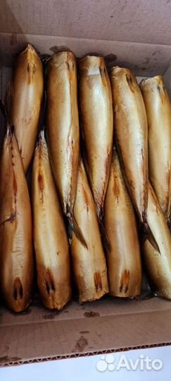 Рыбообработчик