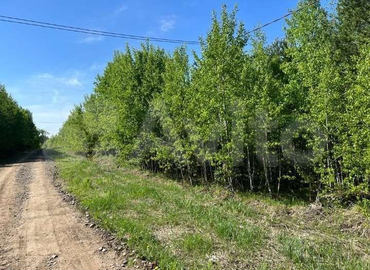 Участок 15 сот. (ИЖС)