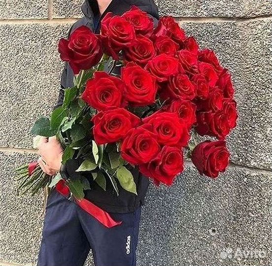 Высокие розы Гигантские Розы 150 160 170 180 190см