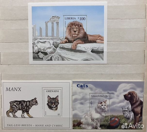 Марки Фауна Кошки