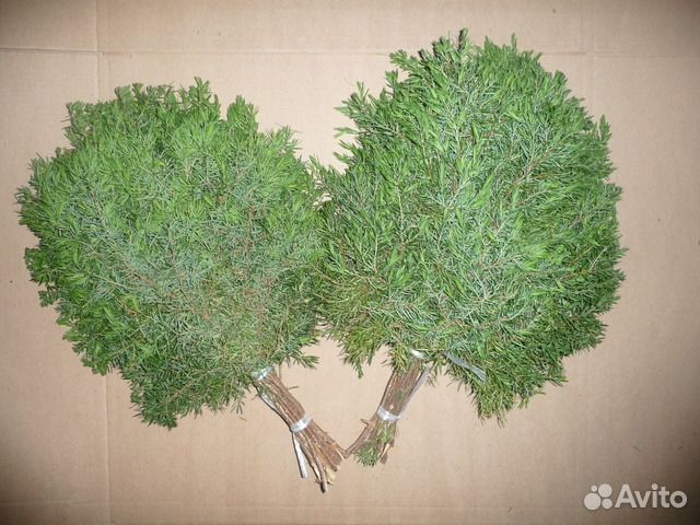 Веники банные