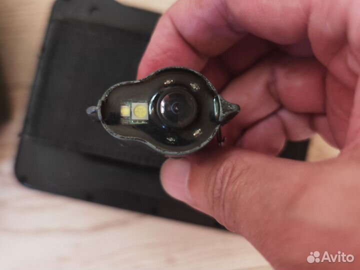 Подводная камера мурена