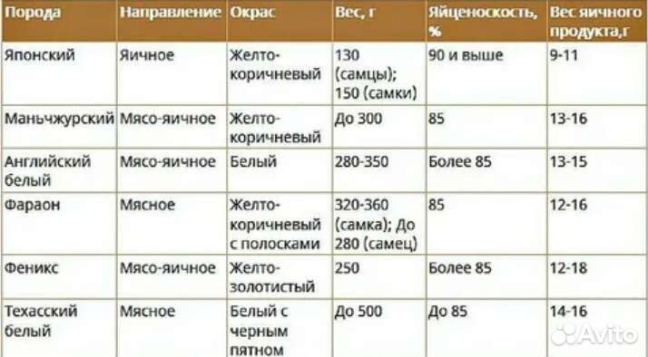 Перепел: Техасс утежелен.(кремниваемый)