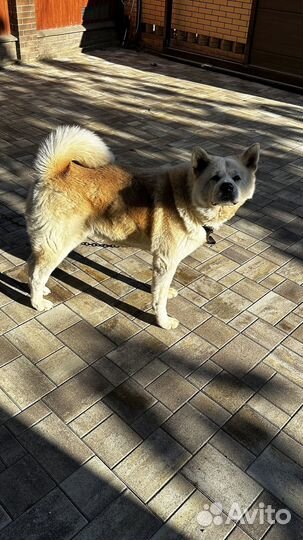 Прочная Тротуарная Плитка минимальный объем 120 м2