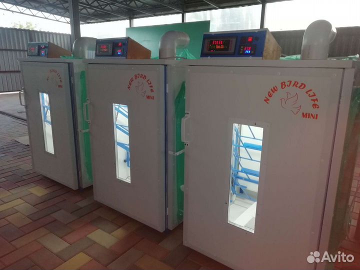 Инкубатор фермерский