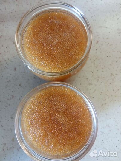 Щучья икра- путина 2023