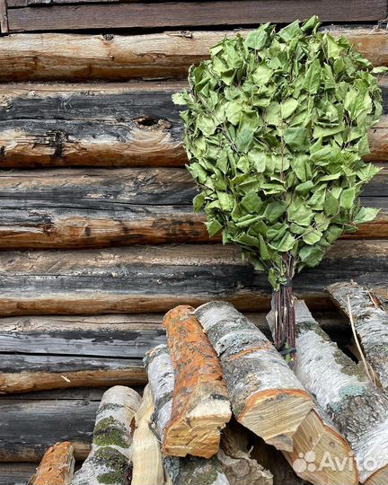 Березовый веник для бани