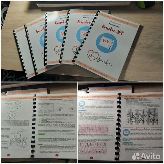 Методичка по основам экг