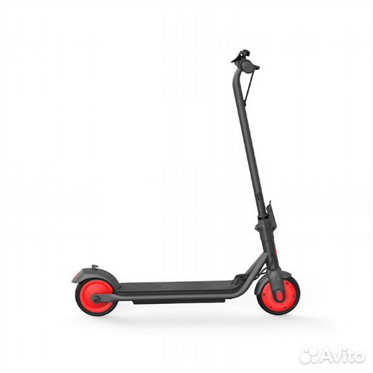 Электросамокат Ninebot KickScooter C20 (RU)