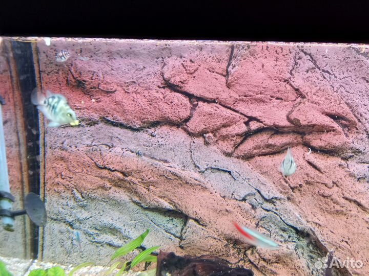 Аквариум с тумбой