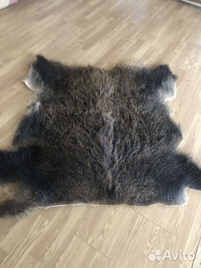 Шкура кабана