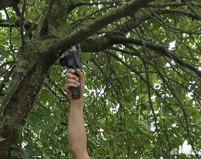 Пила цепная аккумуляторная - сучкорез