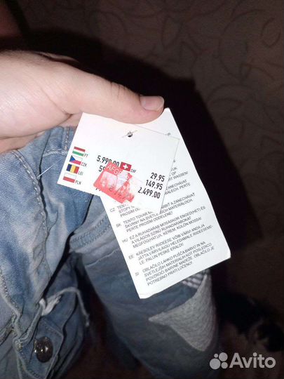 Шорты германия