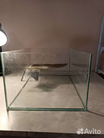 Террариум для черепахи