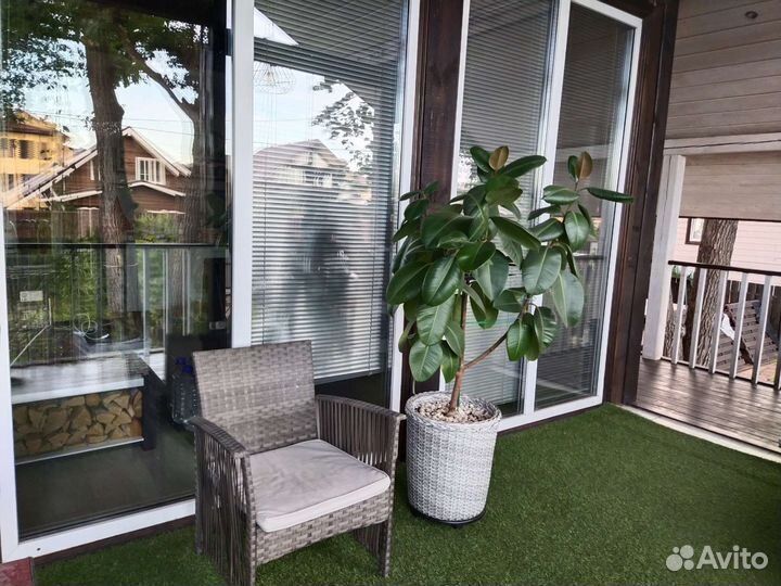 Фикус большой в плетеном красивом горшке