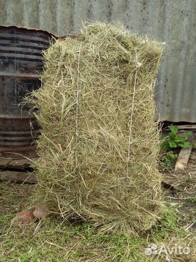 Сено луговое в тюках