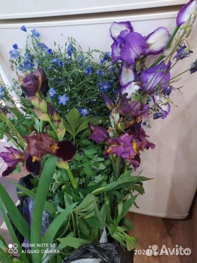 Цветы, рассада пакетом