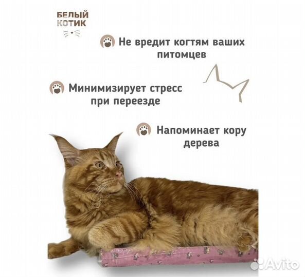 Когтеточка для кошек