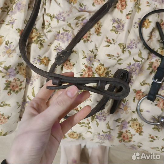 Уздечка для лошади