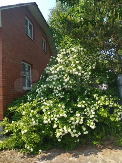 Дом 150 м² на участке 10 сот.