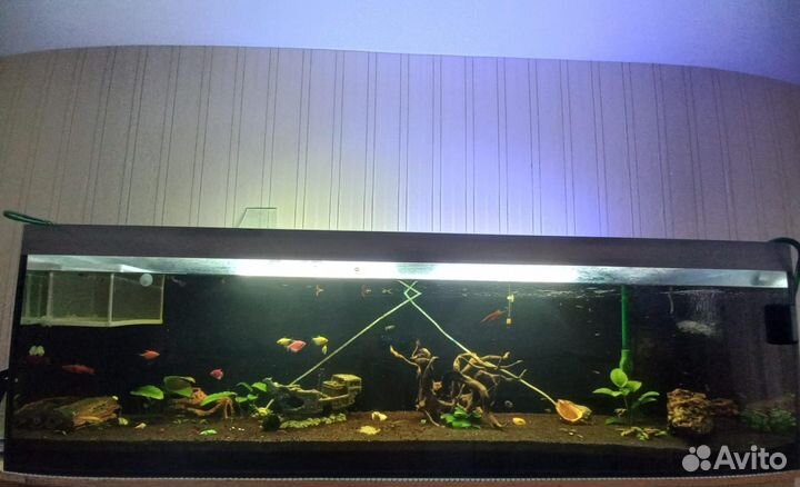 Аквариум