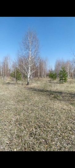 Участок 20 сот. (СНТ, ДНП)