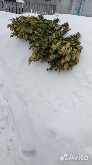 Продам веники дуб берёза