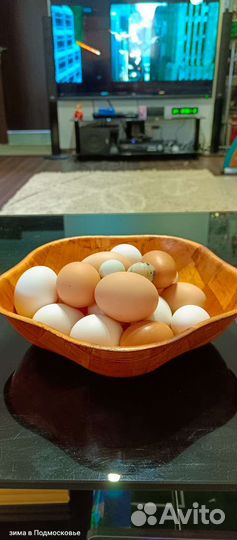 Домашние куриные яйца