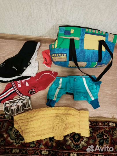 Вещи для маленьких собак