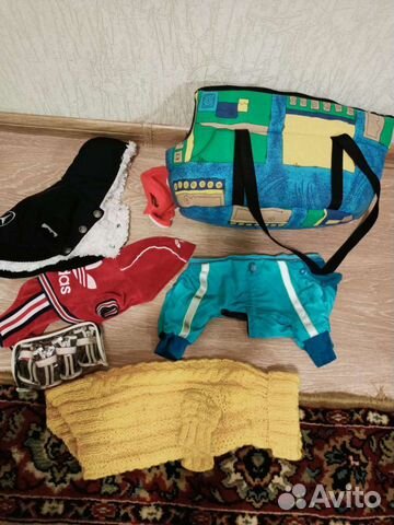 Вещи для маленьких собак