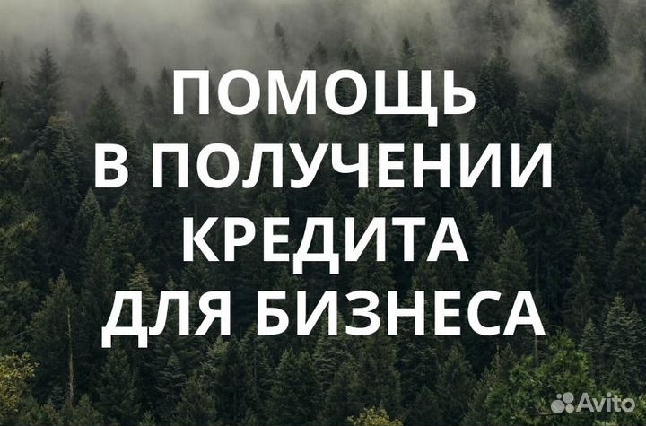 Помощь в получении кредита для ИП и ООО