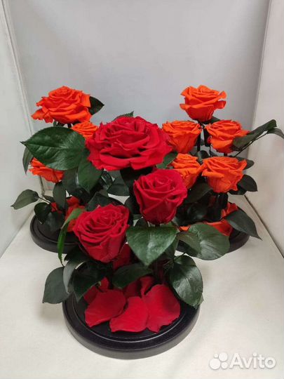 Роза в колбе оптом и в розницу